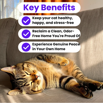 Calmify Cat Calming Diffuser